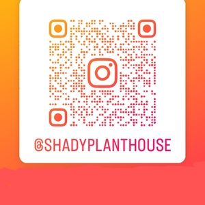 Join me on Instagram